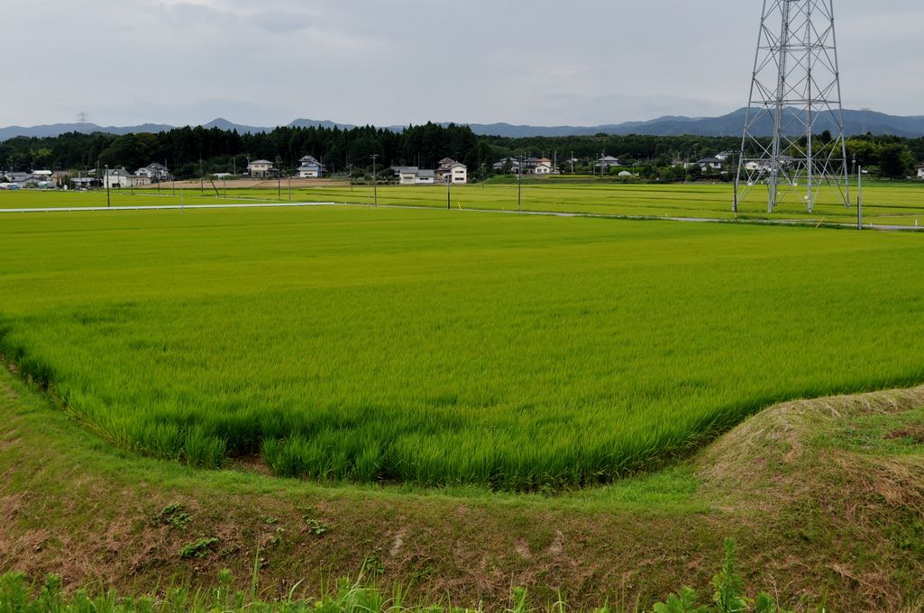 大熊町・夫沢の風景 （2010年8月撮影） 写真 3