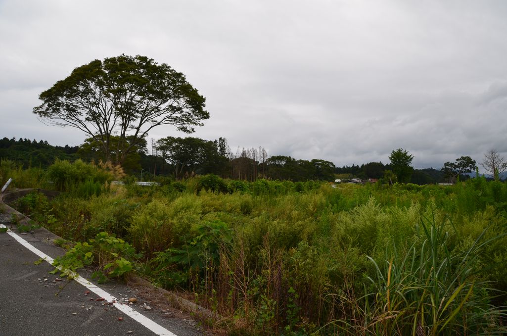 大熊町・熊川の風景 (2013年9月撮影) 写真 2