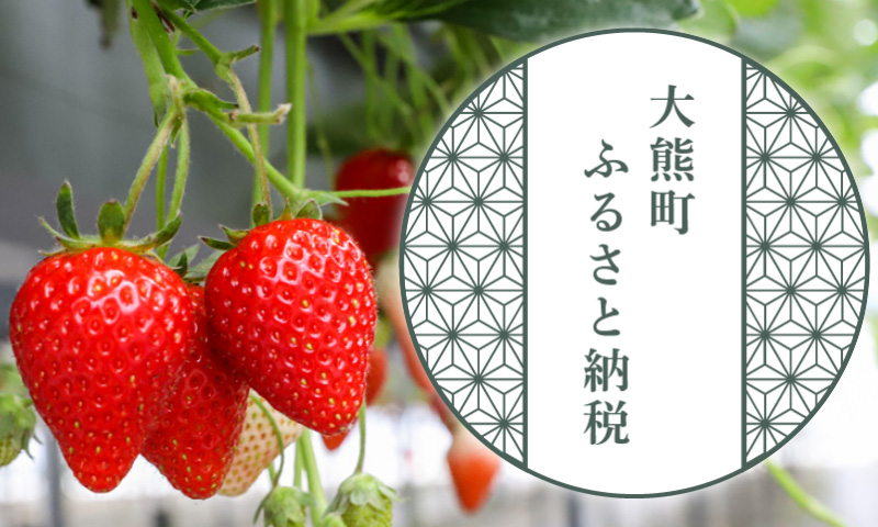 大熊町ふるさと納税