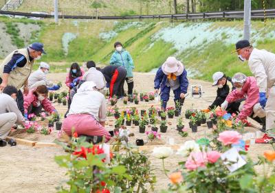 公営墓地やすらぎ霊園の入口に花の苗を植える参加者