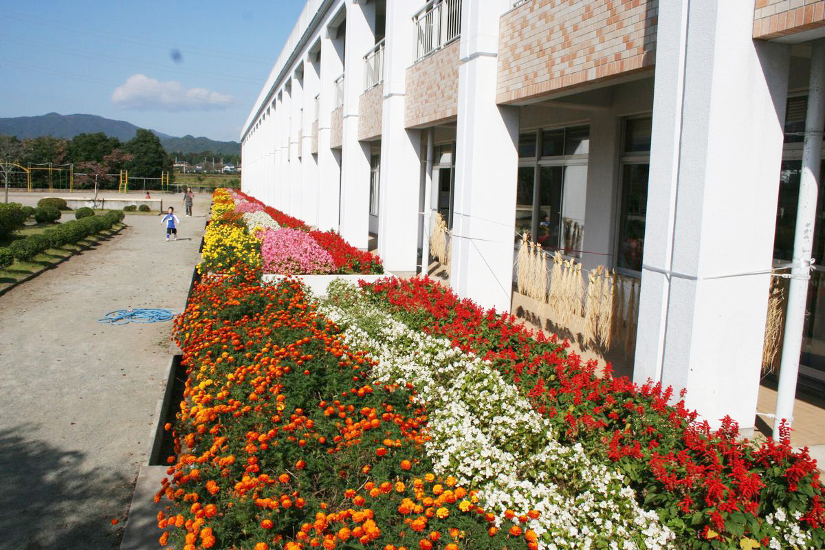 大野小学校中庭に整備された花壇(秋)  2006年10月21日撮影