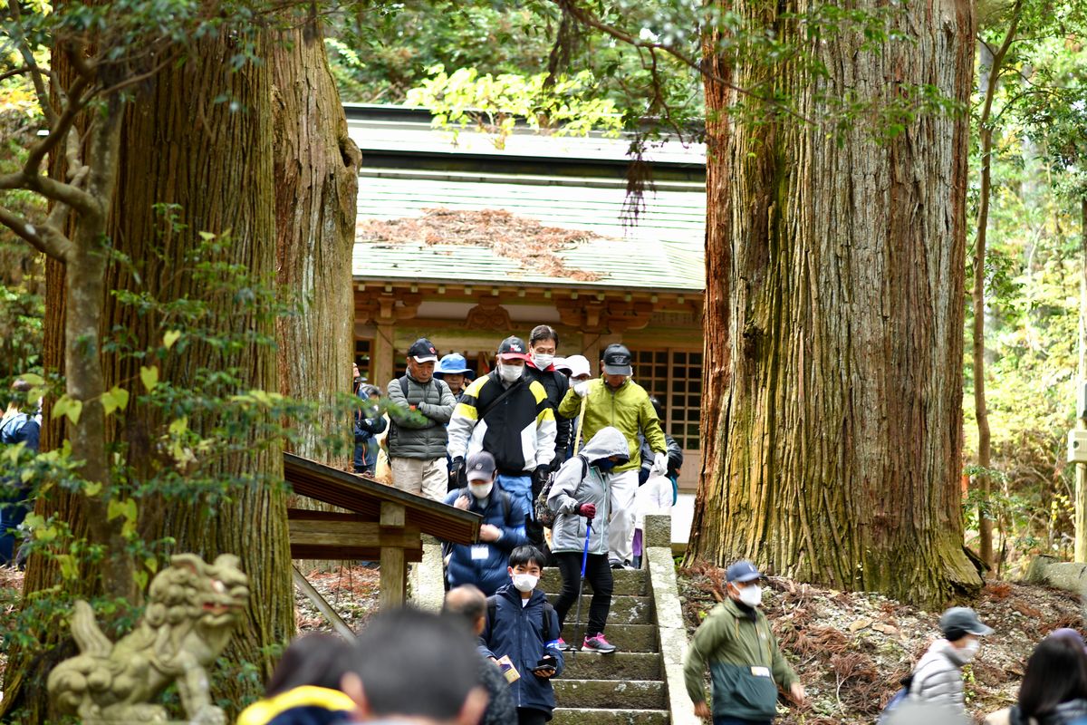 鳥居をくぐり歩いて行くと拝殿を守るように狛犬がお出迎え。参加者は山の神様が祀られている拝殿に参拝しました。樹齢400年を超す大杉には圧倒されます。