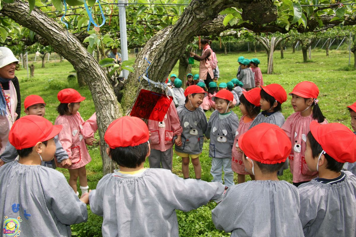 クラスごとに手をつなぎ、梨の木を囲む園児たち