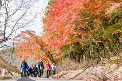 まちづくり実行委員会主催による秋の恒例行事「紅葉の坂下ダムウォーキング2023」が11月25日に行われました。当日は天気にも恵まれ、ダム湖の周りは朱や黄色に染まった木々がたくさんの彩りを見せました。