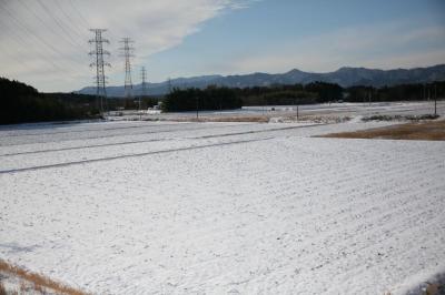 田んぼ一面に積もった真っ白な雪