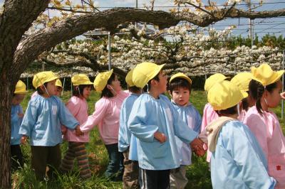 「フルーツガーデン関本」の梨畑をワクワクした表情で見学する園児たち