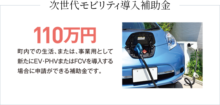 次世代モビリティ導入補助金　110万円