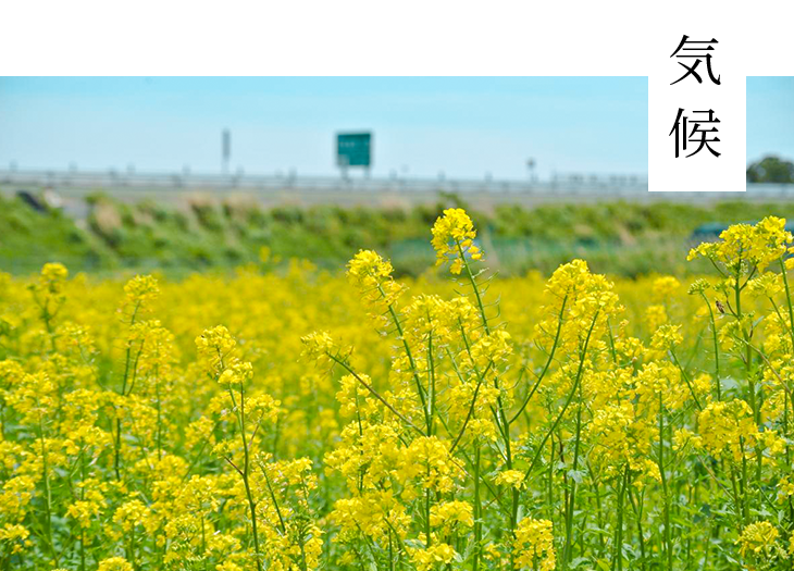 大熊町の気候