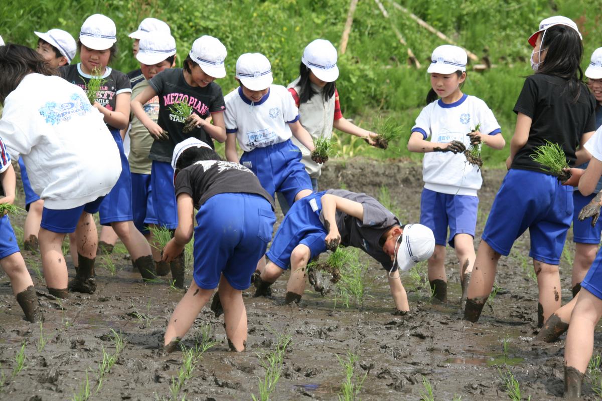 田んぼの中でバランスを崩し転んでしまった児童