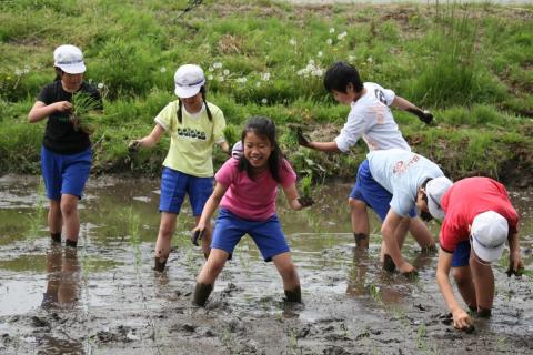 泥にまみれても笑顔が絶えない楽しい田植え体験