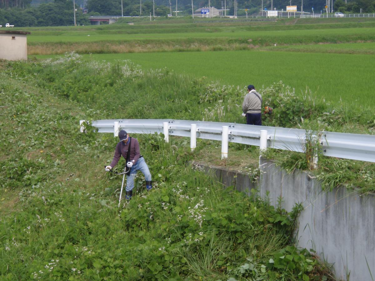 草刈りや除草作業にも取り組みました