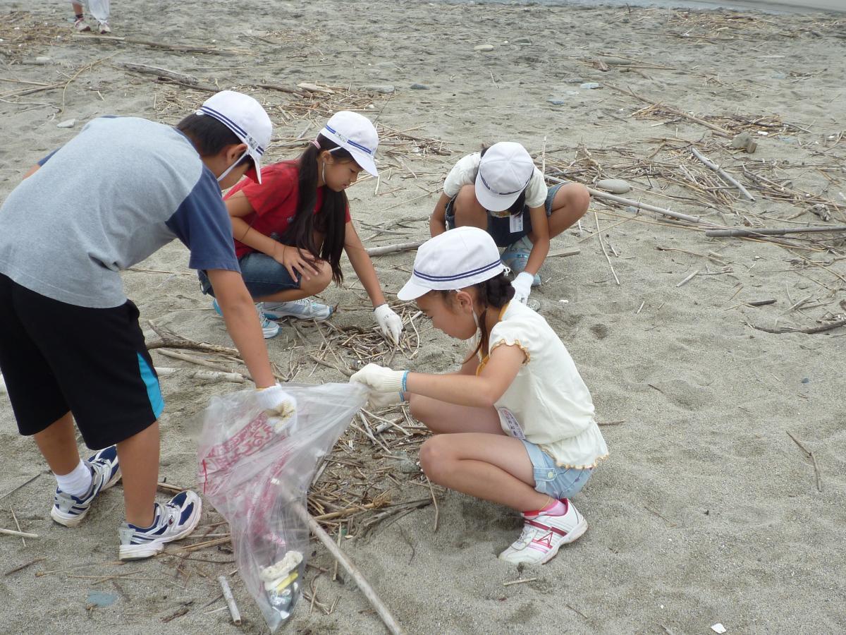 海や川から流れ着いた木くずを丁寧に拾い集める児童