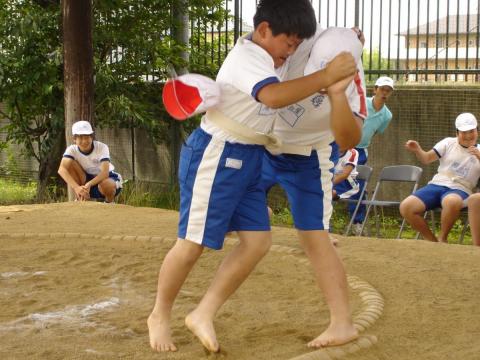 熱気が高まる土俵際の力のぶつかり合い