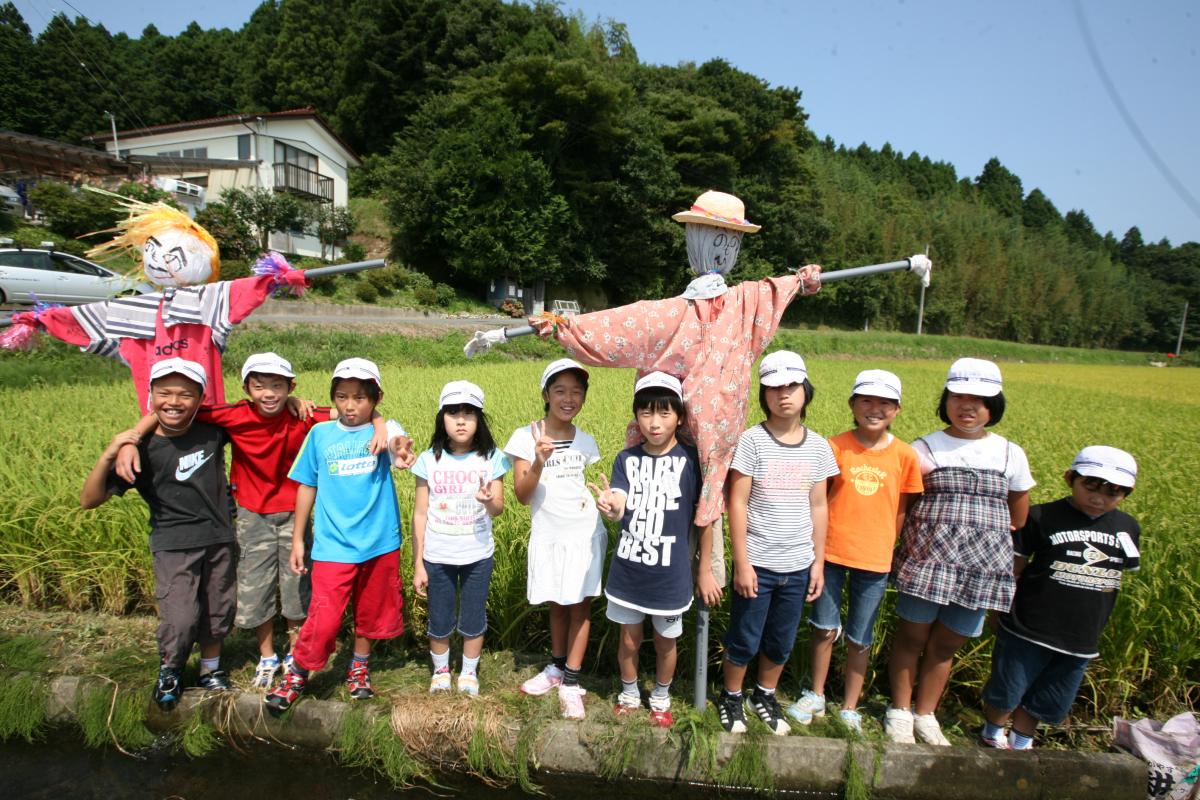 熊町小学校　田んぼに「案山子（かかし）」を設置（2009年9月8日撮影） 写真 3