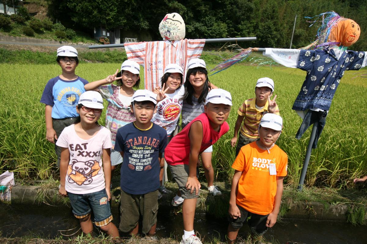 熊町小学校　田んぼに「案山子（かかし）」を設置（2009年9月8日撮影） 写真 4