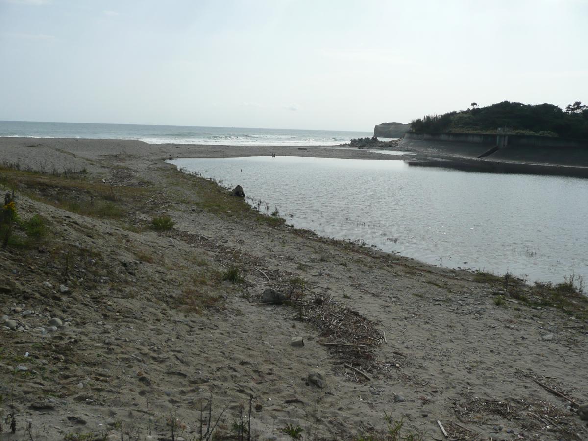 ボランティアの皆さんによりきれいになった熊川海岸