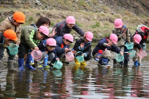 大きくなって帰ってきてくれるように祈りながら稚魚を放流する園児たち