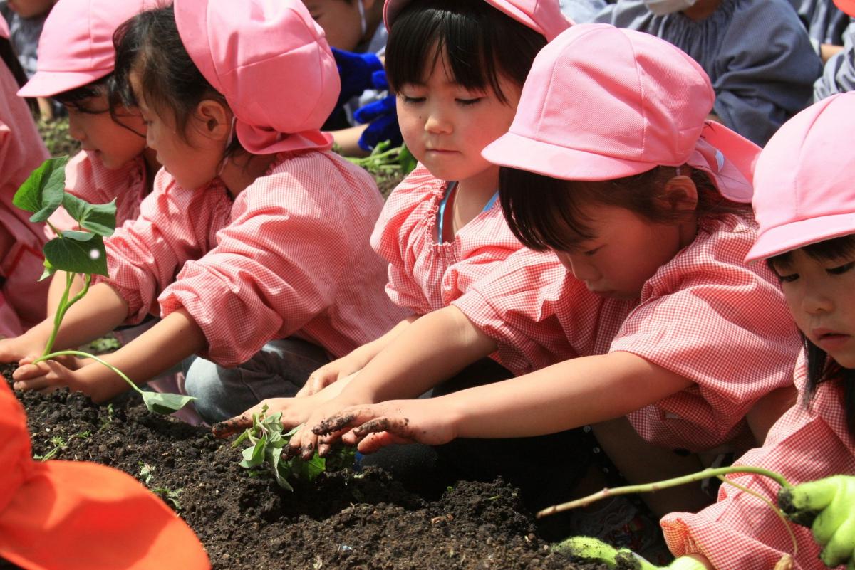 少しぬかるんだ畑の土で手をまっ黒にして苗を植える子どもたち