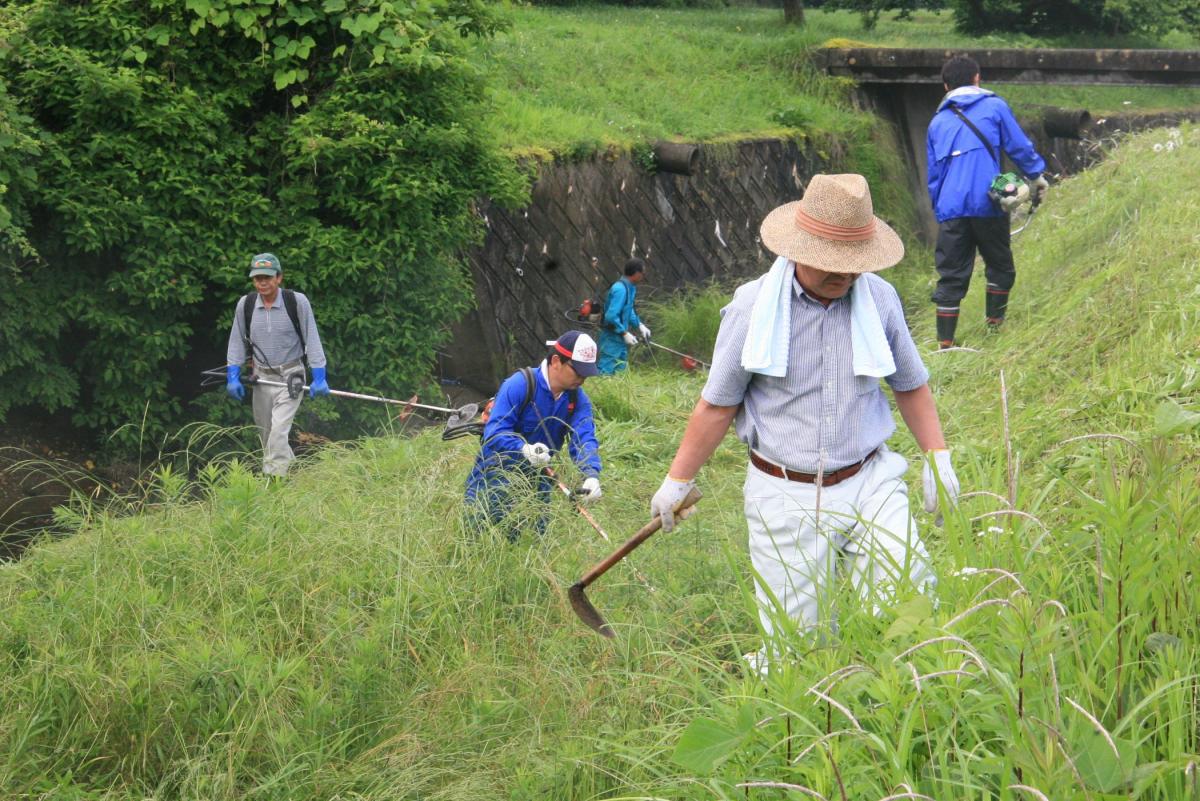 雑草の刈り払いをする参加者