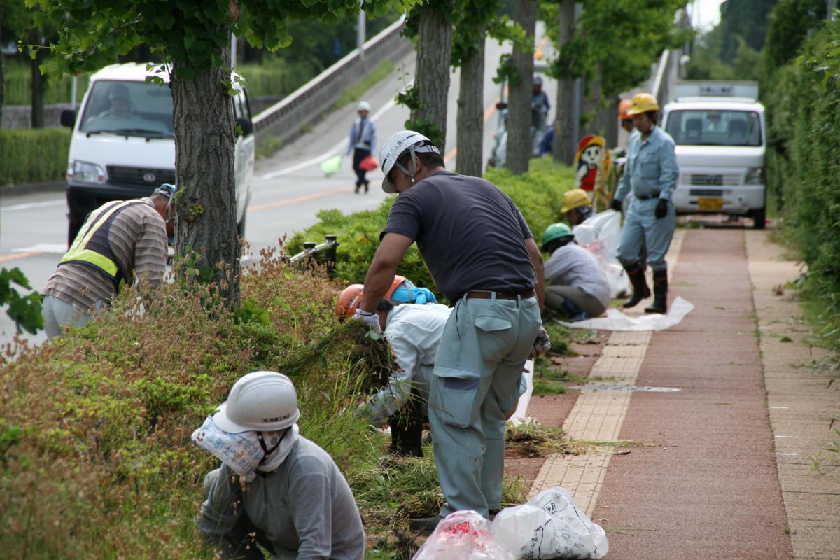 歩道の植え込みの除草作業をする協力員の皆さん