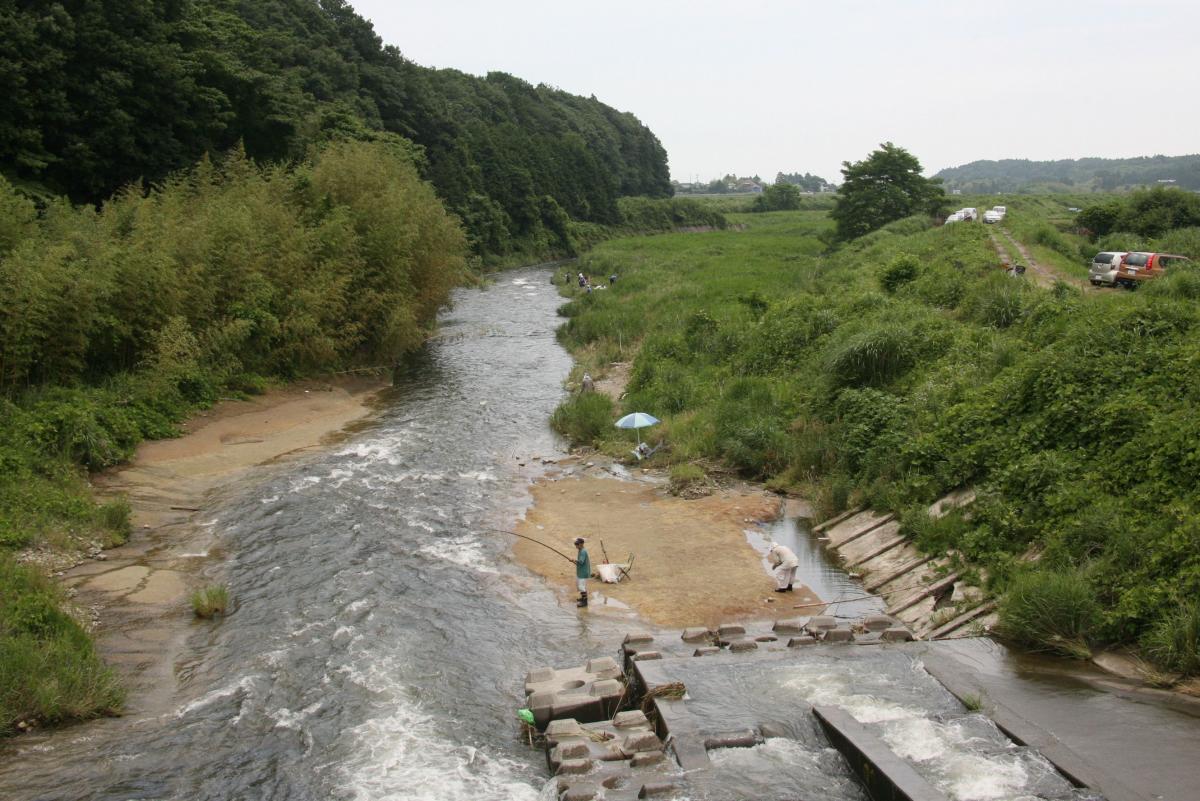 熊川　鮎釣り解禁（2010年7月1日撮影） 写真 4