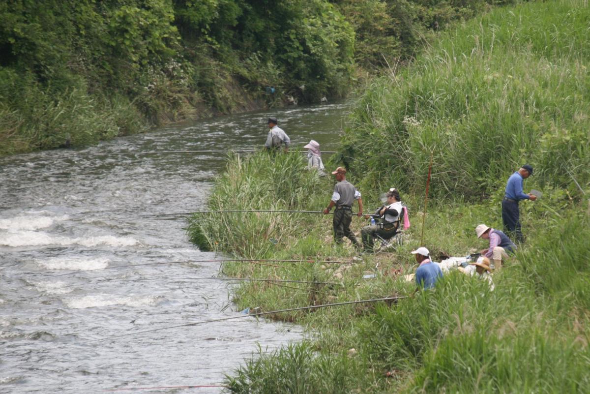 多くの釣り人が熊川に訪れました