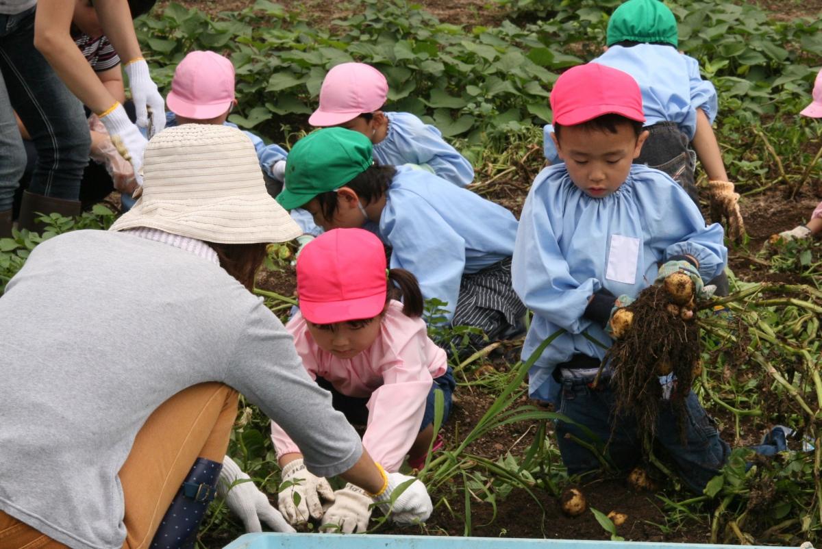 一度にたくさんのジャガイモが採れて驚いた様子の園児