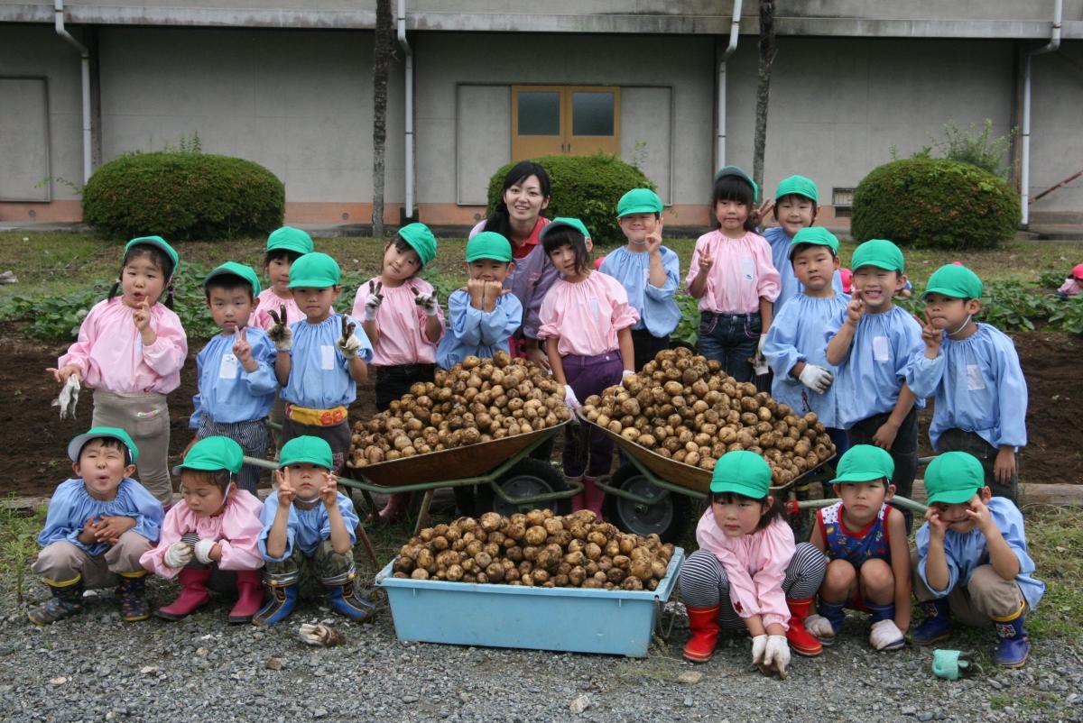 大野幼稚園　ジャガイモ掘り（2010年7月9日撮影） 写真 5