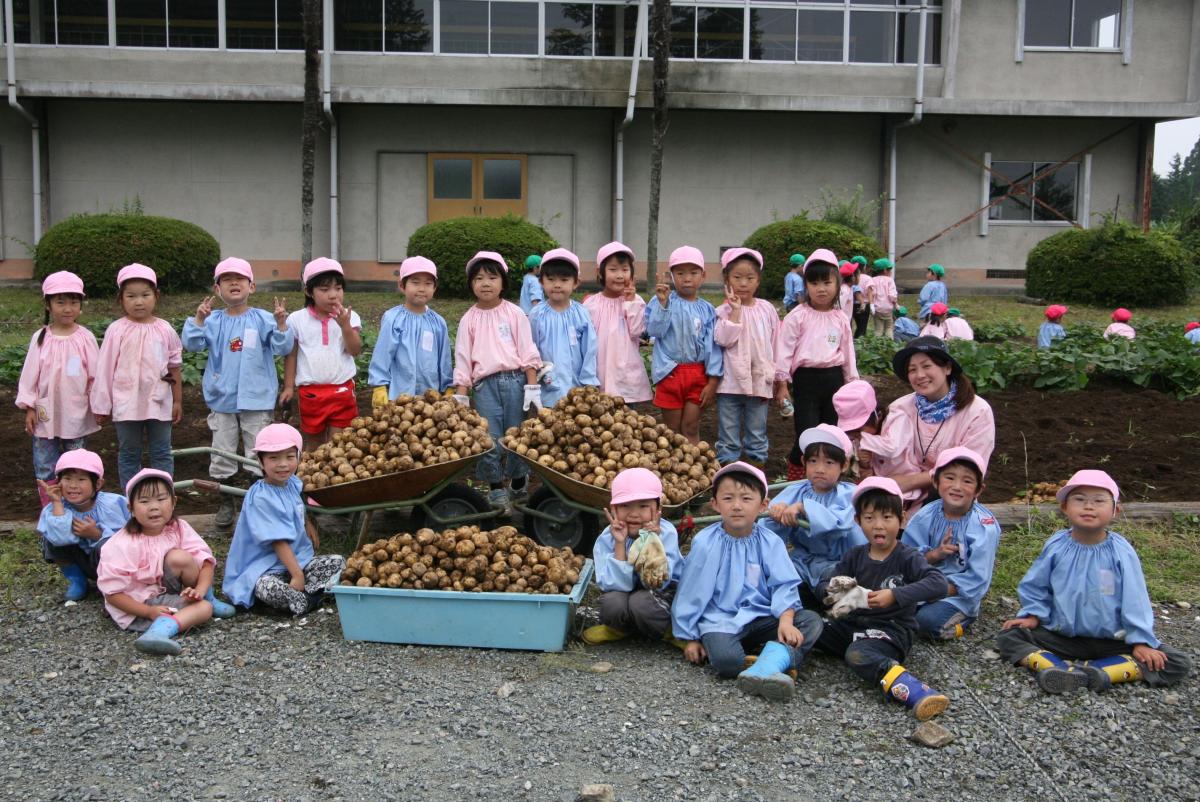大野幼稚園　ジャガイモ掘り（2010年7月9日撮影） 写真 6