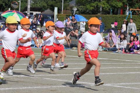 追いつけ追い越せ！ゴールに向かって一直線！