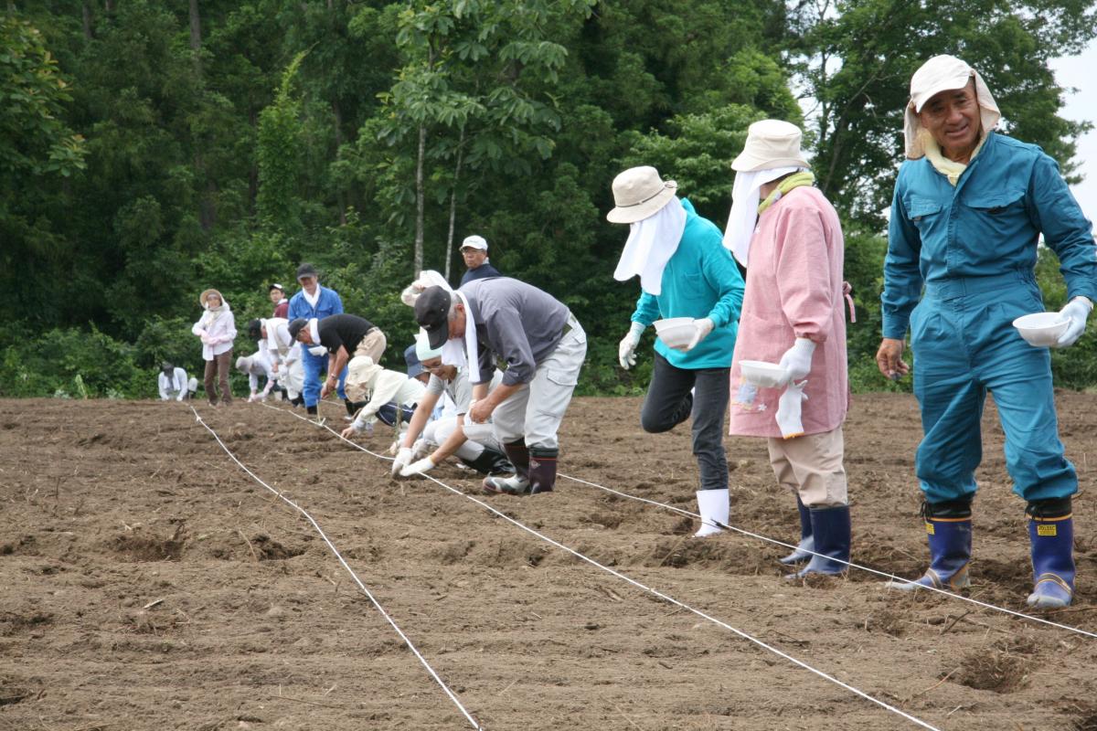 喜多方でヒマワリ種まき（2011年7月7日） 写真 3