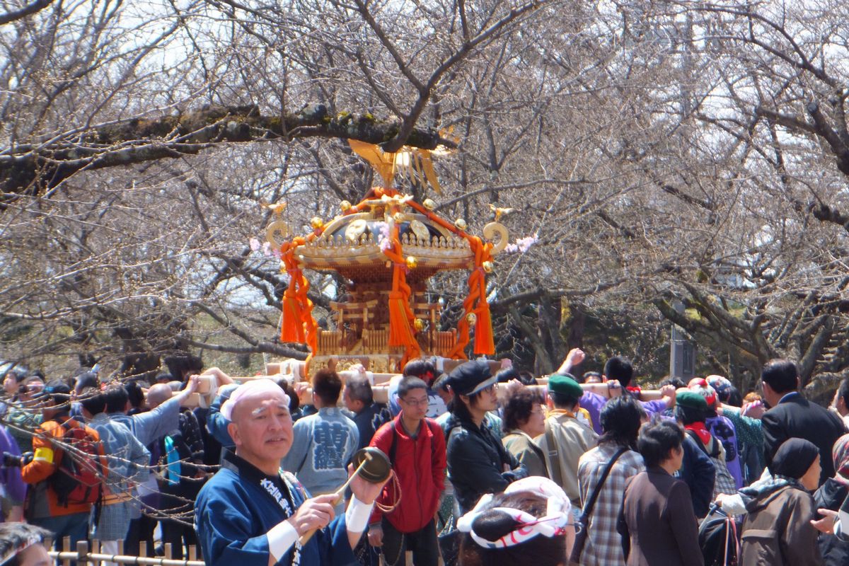 鶴ヶ城さくら祭りに招待されました（2012年4月15日） 写真 4