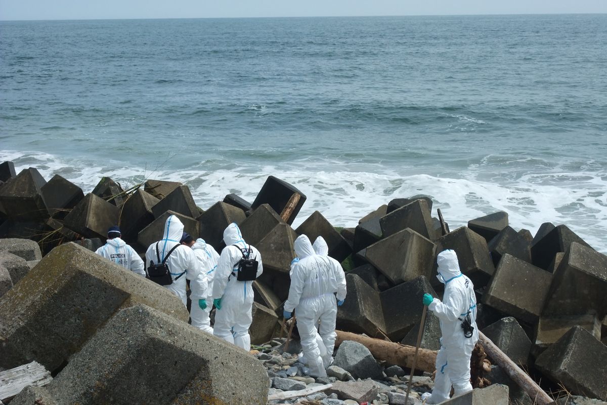 熊川海岸で行われた東日本大震災行方不明者一斉捜索で海岸を丹念に捜索する町消防団員と福島県警、海上保安庁の職員