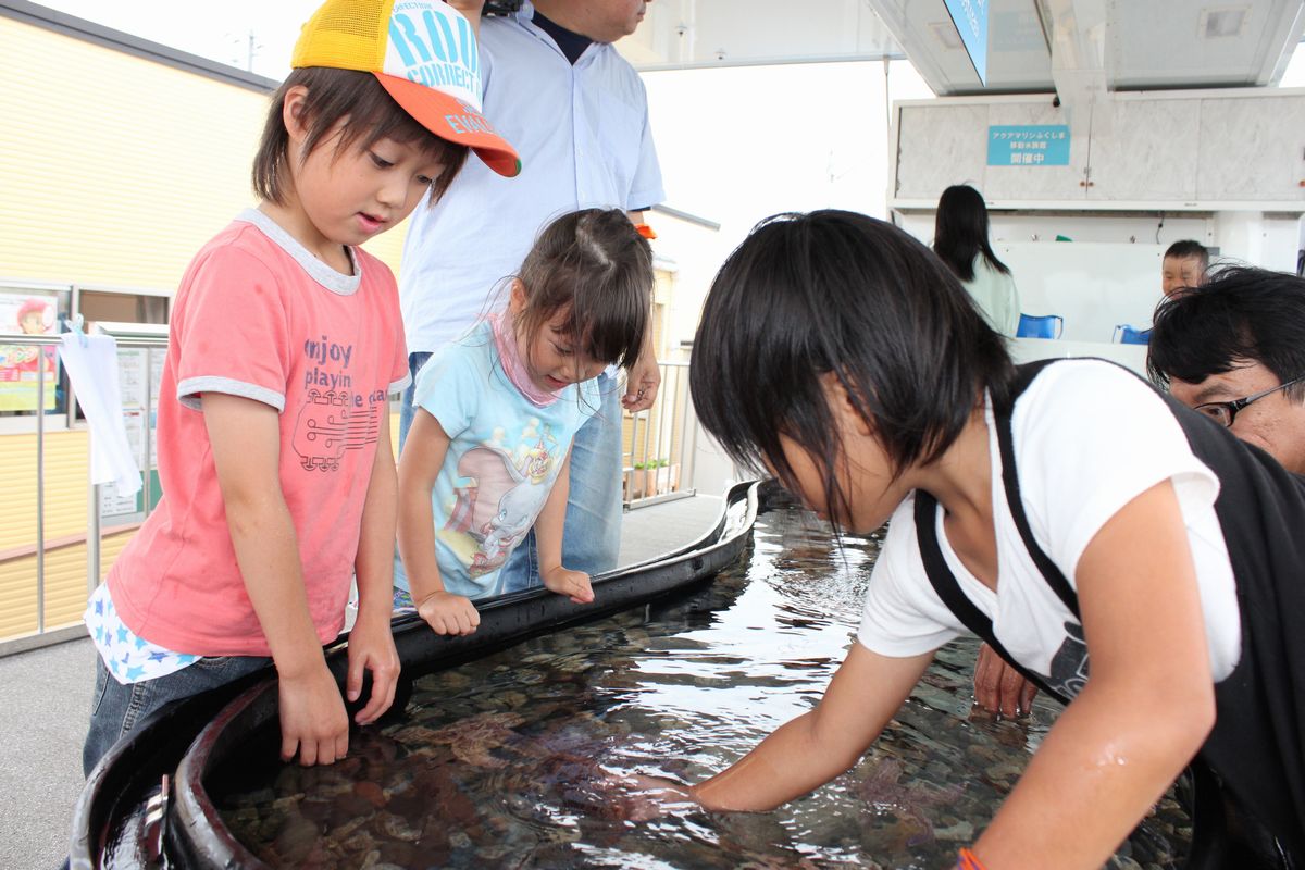 会津若松市の河東学園仮設住宅にやってきたアクアマリンふくしま移動水族館