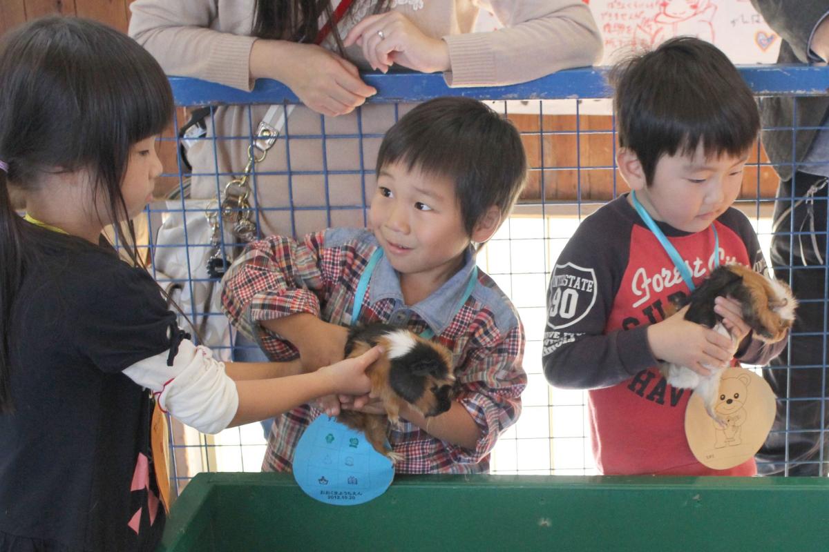 東北サファリパークの動物ふれあいコーナーで嬉しそうに動物たちと触れ合う園児たち