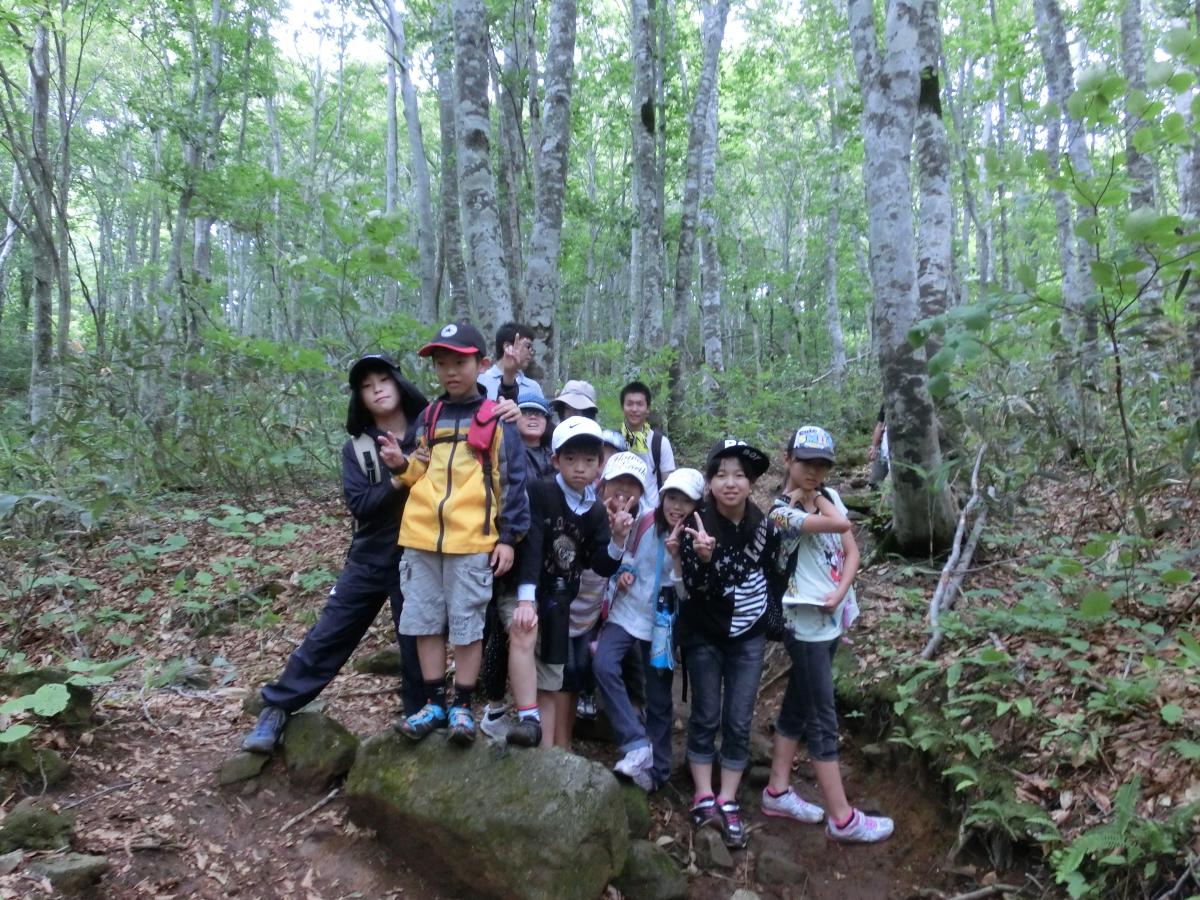 山林を散策する教室生