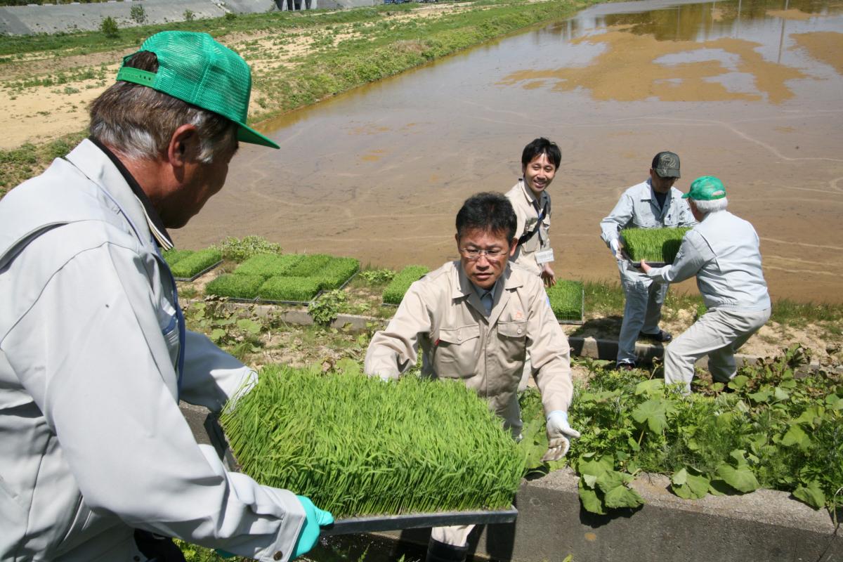 たくさんの苗を準備する参加者