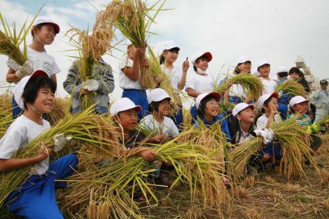 刈り取った稲を手に喜ぶ児童たち