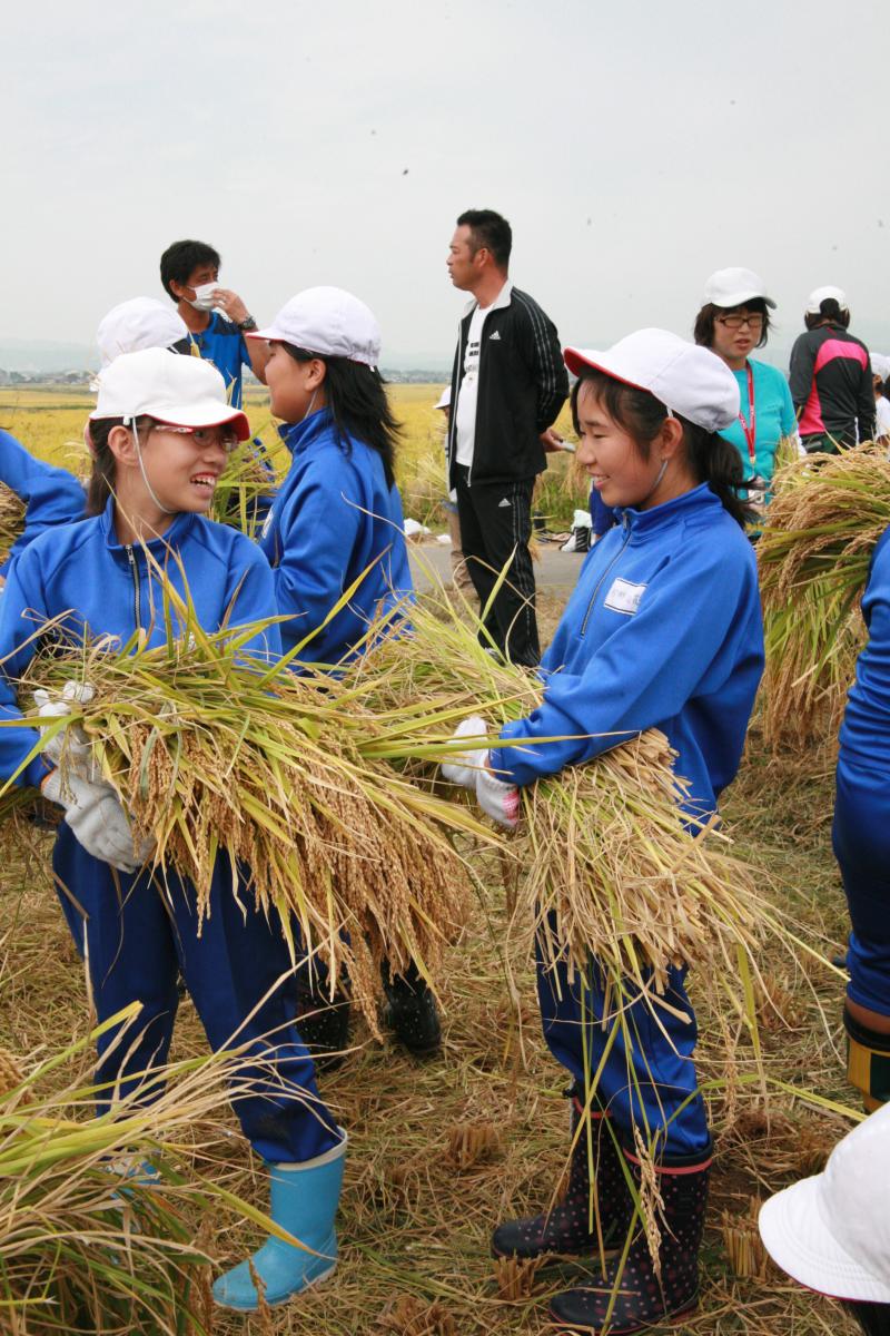 実習田で栽培していたもち米の稲刈りを行った5年生