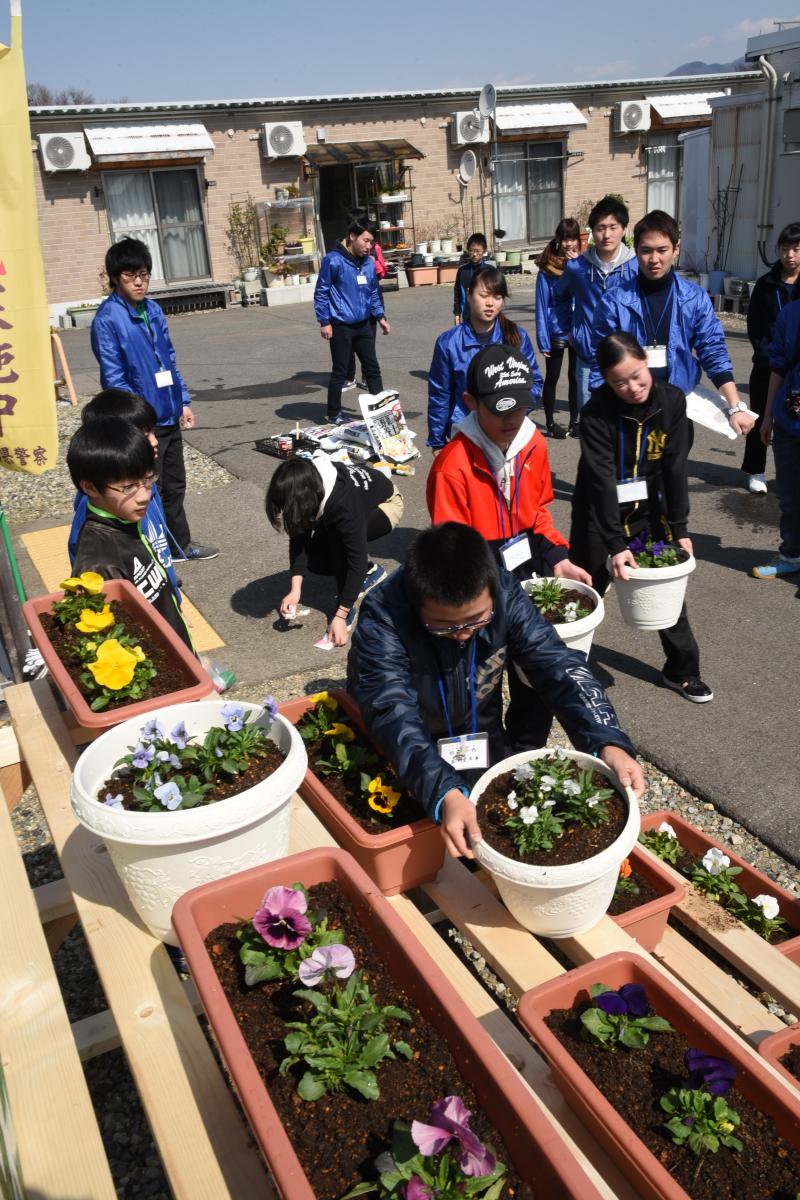 花を植えたたくさんのプランターを運ぶ中学生