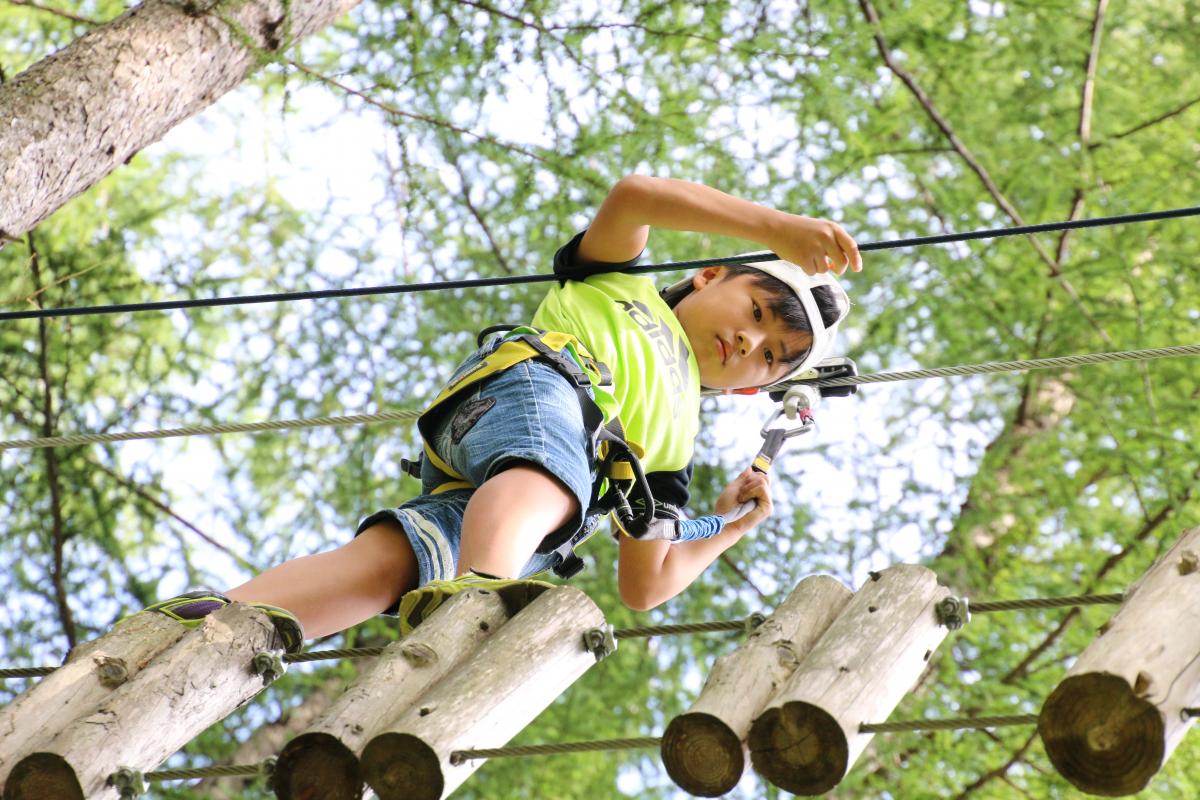 地上3～10メートルのカラマツ林に設置されたコースを、ハーネス（安全帯）を付けてロープで渡る児童