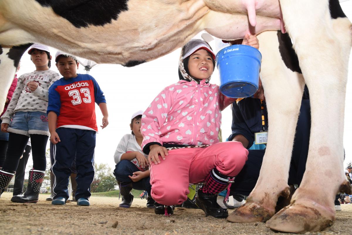 上手に乳しぼりができて「すごーい」と歓声を上げる児童