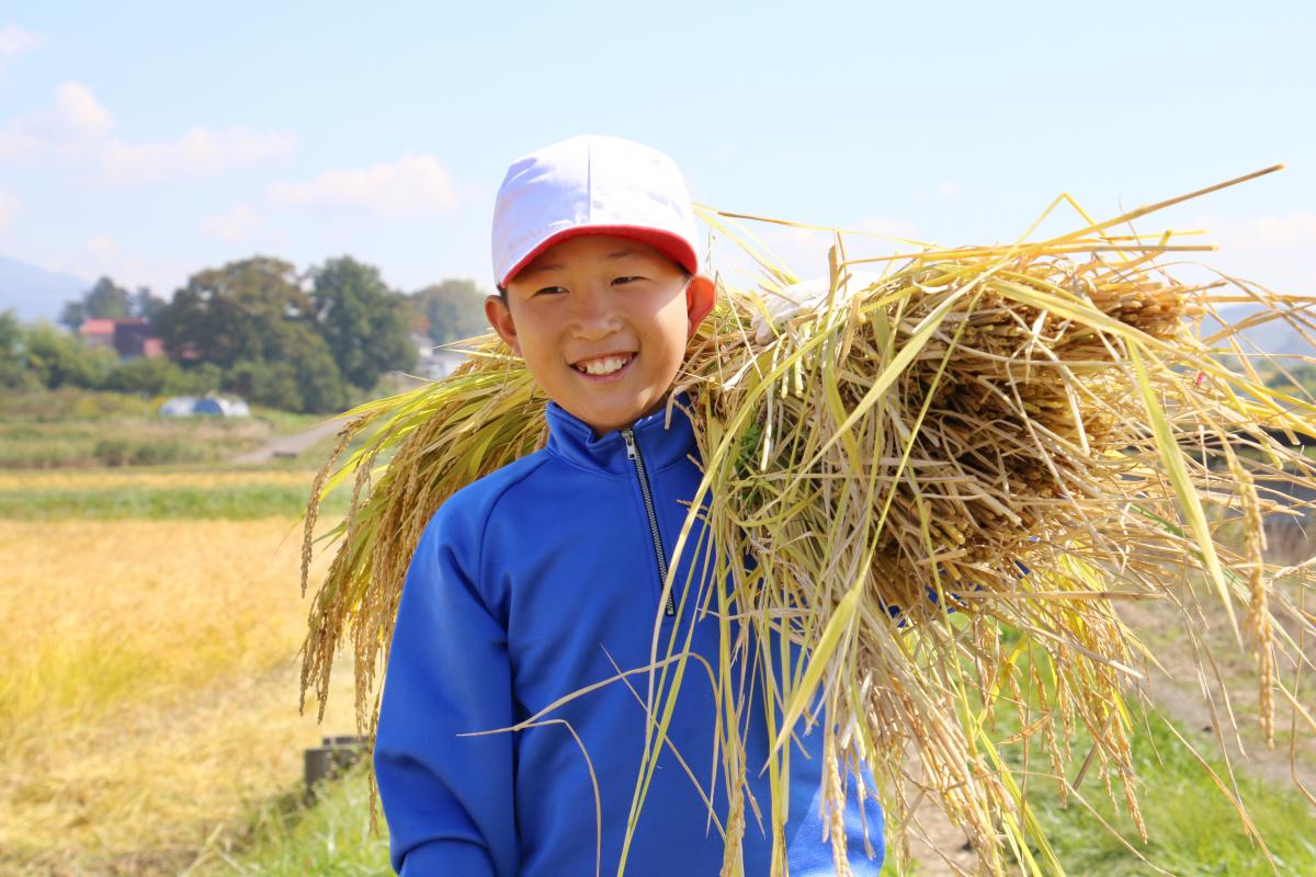 稲の束を持って嬉しそうに笑う児童（2）