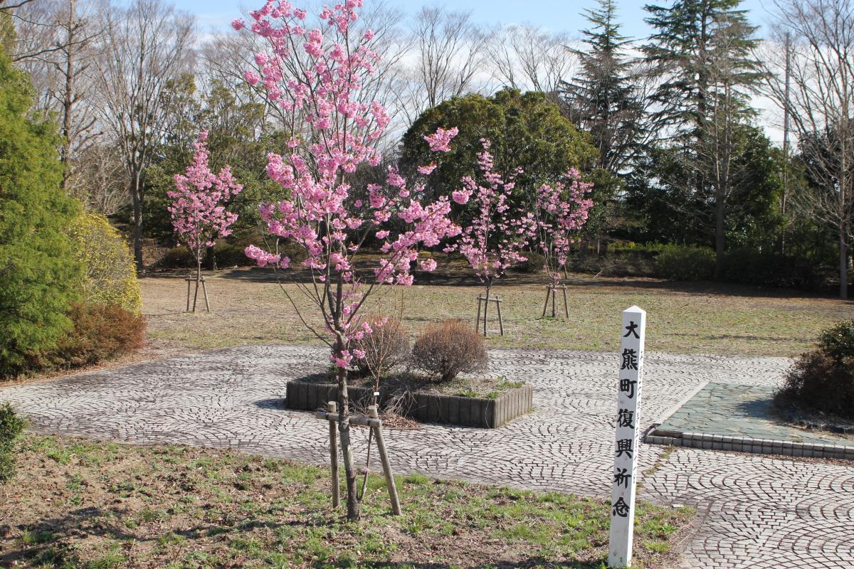 町内の桜「陽光桜、児童公園」　（2016年4月5日撮影） 写真 6