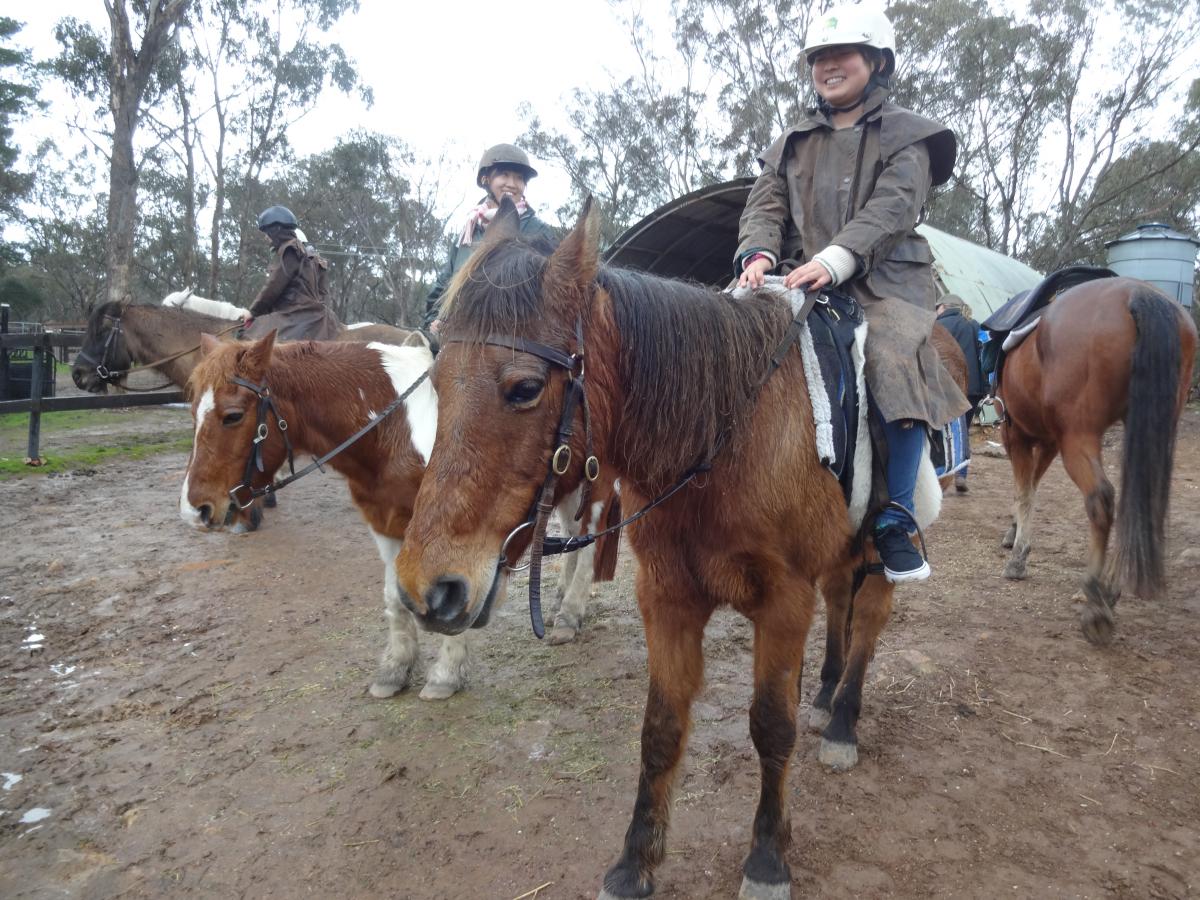 乗馬体験で馬の背中に乗り嬉しそうな参加者