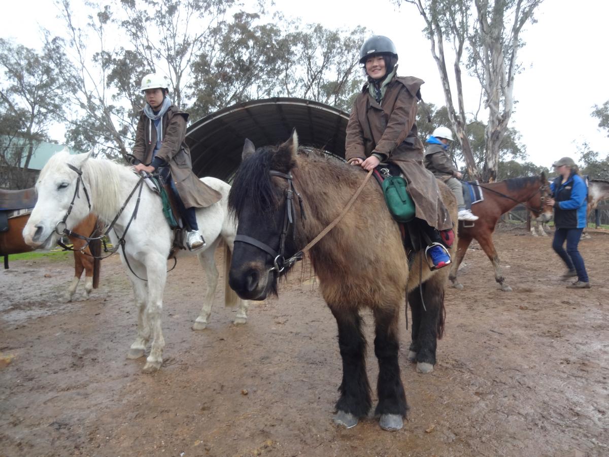 乗馬体験で馬の背中に乗り嬉しそうな参加者（2）