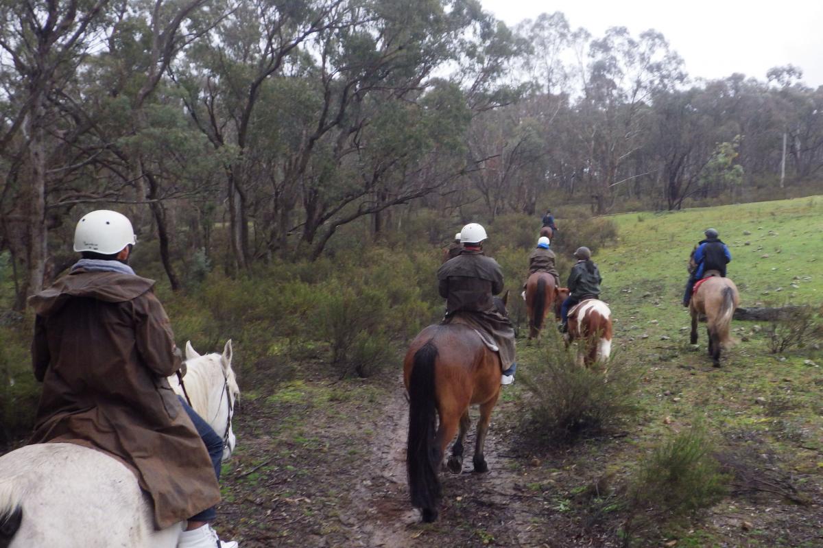 雨の中の乗馬でしたが、革製のレインコートを身にまとい、山の景色や野生のカンガルーとの遭遇を楽しみながら乗馬体験しました