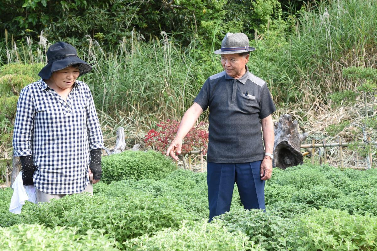 町内初の特例宿泊（2016年8月13日～14日撮影） 写真 5