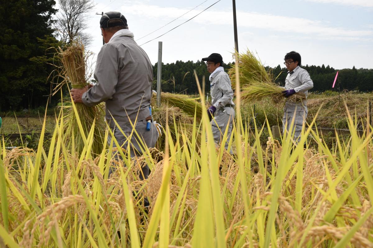 秋晴れの下、あっという間に3つの棒掛けを完成させた参加者たち