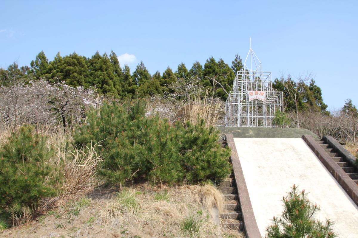 町内の桜「熊町小、三角屋交差点」（2017年4月14日撮影） 写真 5